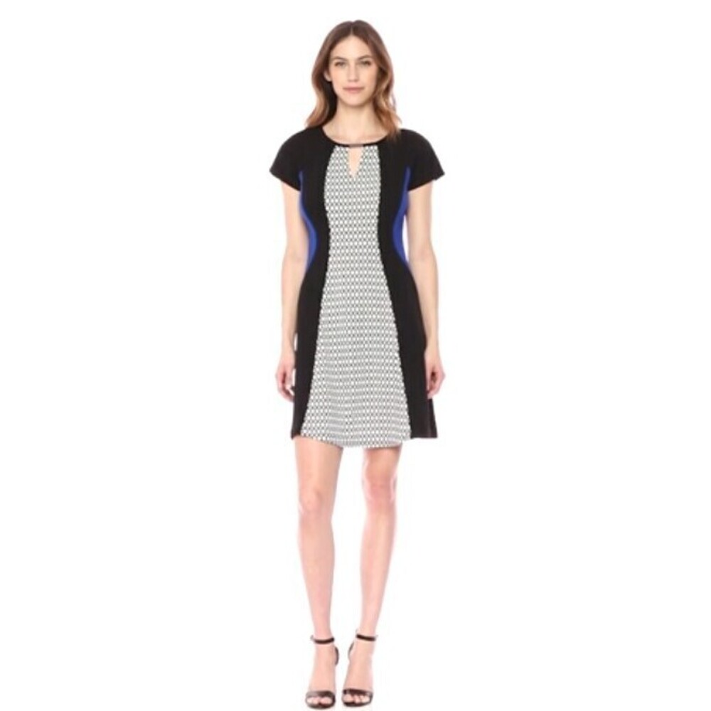 Extended Shoulder Printed Puff Scuba Crepe Dress